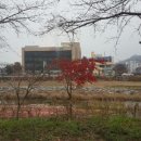춘수농장 네이버블로그