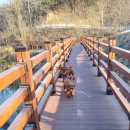 약목하이호스텔 이미지