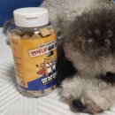 멍냥펀치 이미지