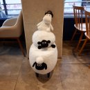 파리바게뜨(함양점) 이미지