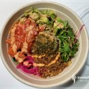 AVO(아보)