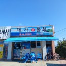 대가 신 물회 이미지