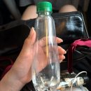 대전 탐방기: 베이커리의 도시
