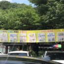 이집이좋겠네 본점 이미지