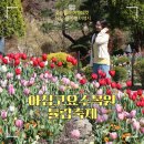 아침고요수목원 튤립 축제 4월 5월 봄꽃 페스타