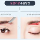 엄지연합의원 이미지