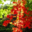 지리산 하늘아래 이미지