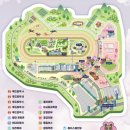 기본 | 렛츠런파크 서울 벚꽃축제 무료 입장권 기본정보 후기