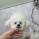 펫마켓 서구점 이미지