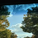 투썸플레이스 인천문학점 | 인천 단풍 명소 카페 투썸플레이스 문학점 지금이 절정