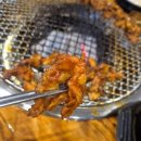 모·닭·불 이미지