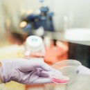 (주)파이토에코 이미지