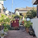 백조이용원 이미지