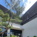 샌토스카페 이미지