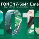 새봄안경콘택트 이미지