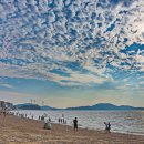 대부도 - 용인시 처인구 | 대부도