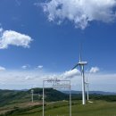 하도목장 | 대관령 삼양목장 삼양라운드힐 양떼목장 방문후기