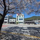 성원에너지 | 단양여행 필수 코스! 40년 전통의 깊은 맛이 느껴지는 성원마늘약선요리 찐맛집 후기 🧄