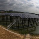 행보 태양광발전소 이미지