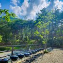 STX오토캠핑장 이미지