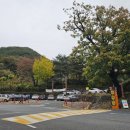 선암사 관광안내소 | 순천 여행 순천 선암사 국가유산 스탬프 투어 스탬프 위치 등