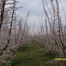 외원농장 이미지