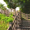 봉황산나래숲 이미지