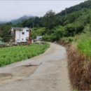 가야면 성기리 이미지