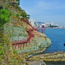 암남공원 Daum카페