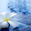 노스트한의원 이미지