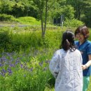 서울특별시축령정신병원 이미지