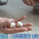 학계농장 이미지