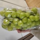 푸른초장농원 이미지