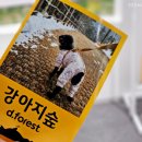 강아지숲 박물관 이미지