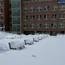 데굴데굴 이미지