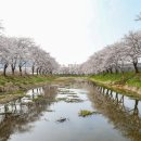 갈산리마을회관 | 당진천 따라 걷기 좋은 당진순성 벚꽃축제 <갈산리 마을회관>