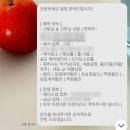 𝑊𝑒𝑑𝑑𝑖𝑛𝑔 08 사진에 진심인 내가! 아이폰 스냅 라무흐 스냅 선택한 이유 (메리빌리아 프리모소르홀 )📸