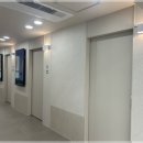 함께하는 동물병원 | 대구 수성구에서 노견을 위한 건강검진 케어동물의료센터 방문기
