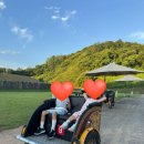 취가정1 | 제주도한달살기 1일차-부여(백제문화단지,부여어린이박물관)