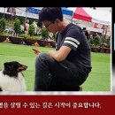 못된강아지 네이버블로그