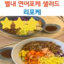 리포케 | 별내 샐러드 포케 맛집 리포케 하와이안 연어포케 내돈내산