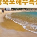 방죽포해수욕장(송림) 이미지