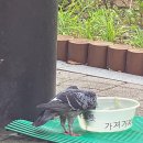 잠시