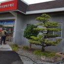 철마우체국 이미지