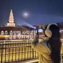 호반의상실 | 충주 가볼만한곳 중앙탑 사적 공원 야경 탄금호 무지개길 드라마 촬영지 명소 막국수 맛집