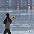 녹지마녹지마 이미지