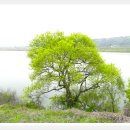 창녕 남지 개비리 이미지