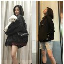 황용 티스토리