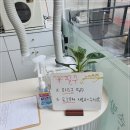 바이진네일 이미지