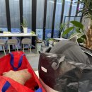 초록세탁소 이미지